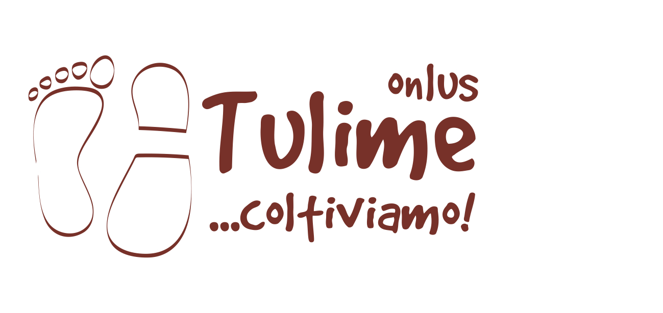 Tulime - Associated Partner ARTCADEMY